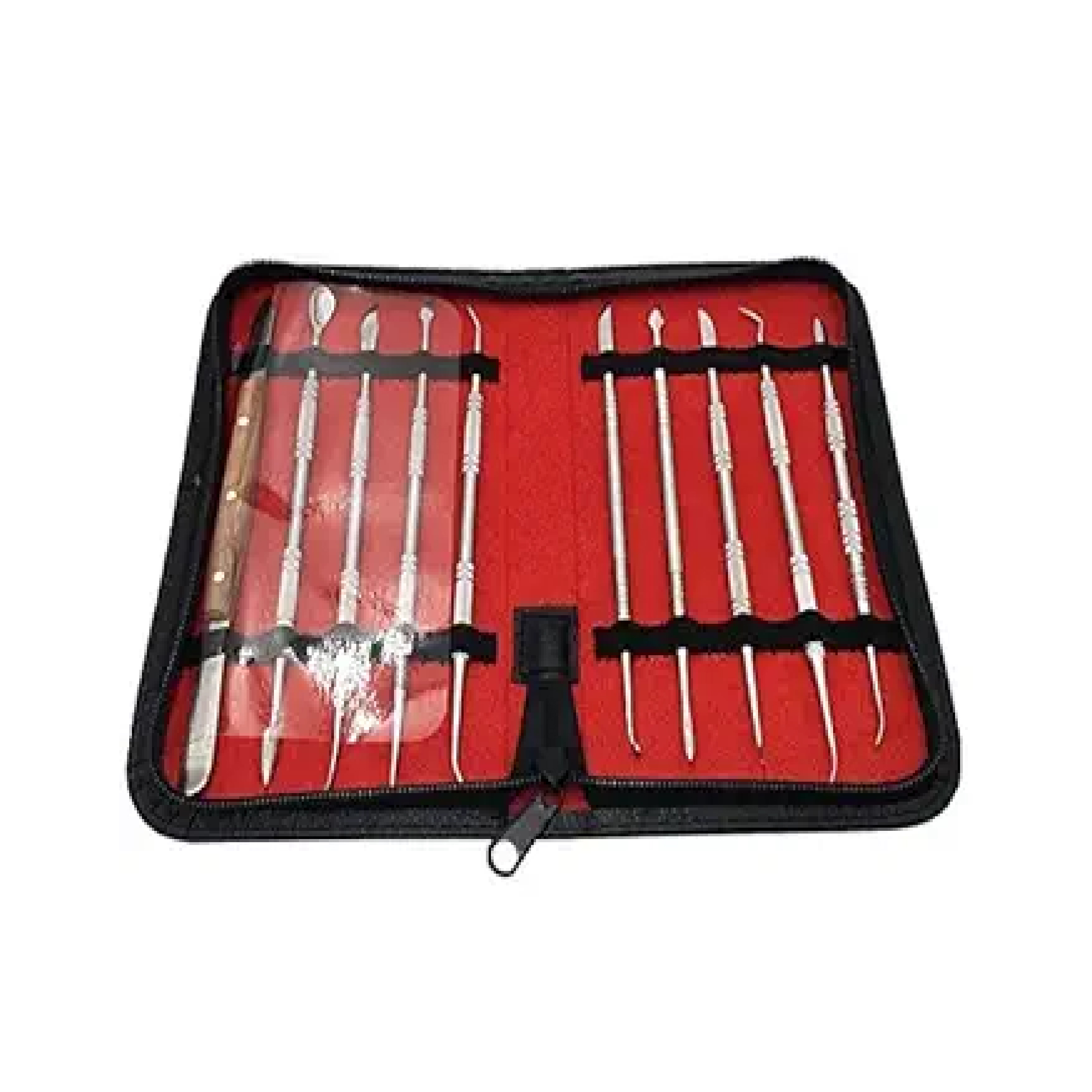 10-Pcs Dental Lab Equipment Wax Carving Tools Set – Medical Equipment Combo