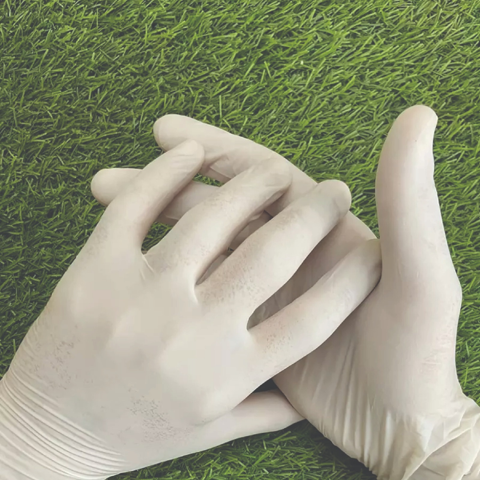 Surgical Disposable Rubber Gloves – White (2 Boxes, 50 Pcs)