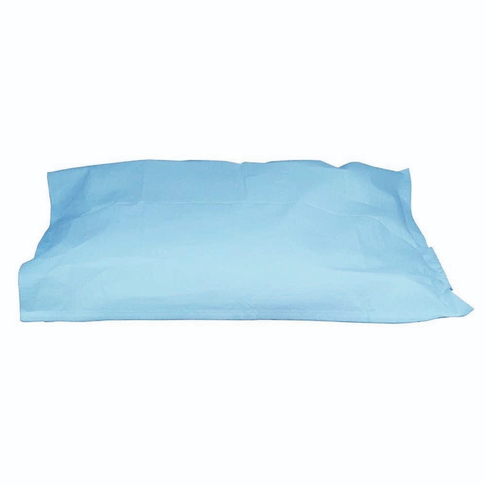 Single Use Hospital Pillow Cover – Blue (2 Boxes, 40 Pcs)